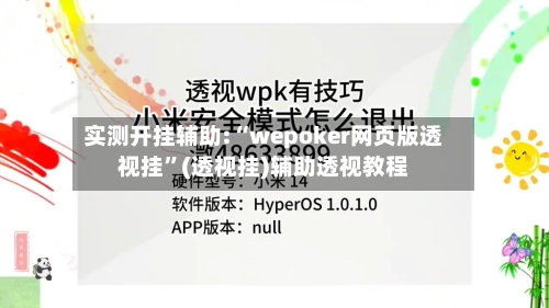 实测开挂辅助:“wepoker网页版透视挂”(透视挂)辅助透视教程-第2张图片