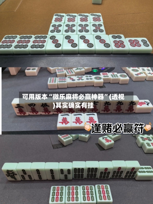 可用版本“微乐麻将必赢神器”(透视)其实确实有挂