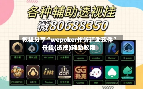 教程分享“wepoker作弊辅助软件”开挂(透视)辅助教程-第2张图片