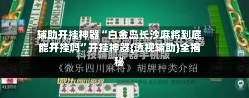 辅助开挂神器“白金岛长沙麻将到底能开挂吗”开挂神器{透视辅助}全揭秘-第3张图片