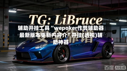 辅助开挂工具“wepoker作弊辅助器最新版本更新内容介”开挂(透视)辅助神器-第3张图片