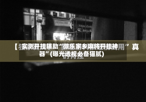 实测开挂辅助“微乐家乡麻将开挂神器	”(曝光透视必备猫腻)-第3张图片