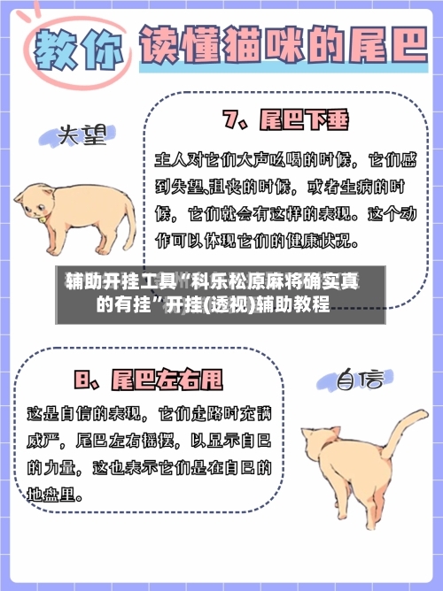 辅助开挂工具“科乐松原麻将确实真的有挂”开挂(透视)辅助教程