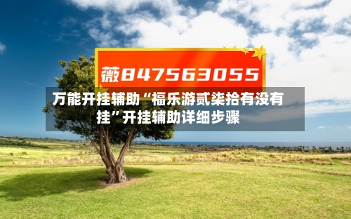 万能开挂辅助“福乐游贰柒拾有没有挂”开挂辅助详细步骤-第3张图片