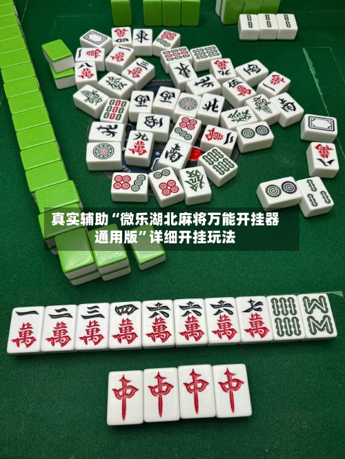 真实辅助“微乐湖北麻将万能开挂器通用版”详细开挂玩法