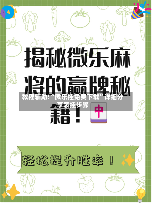 教程辅助!“微乐挂免费下载”详细分享装挂步骤