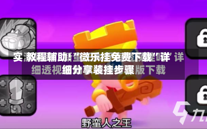 教程辅助!“微乐挂免费下载	”详细分享装挂步骤-第2张图片