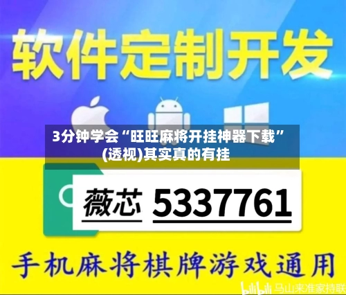 3分钟学会“旺旺麻将开挂神器下载	”(透视)其实真的有挂-第2张图片