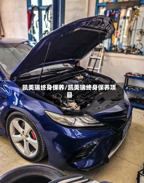凯美瑞终身保养/凯美瑞终身保养项目-第3张图片