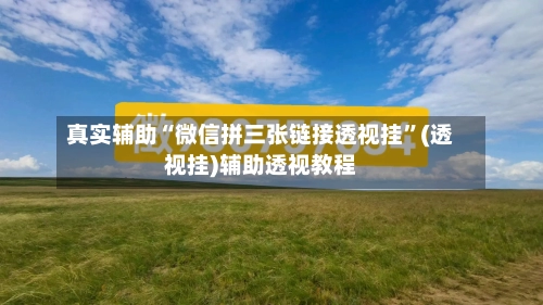 真实辅助“微信拼三张链接透视挂”(透视挂)辅助透视教程-第2张图片