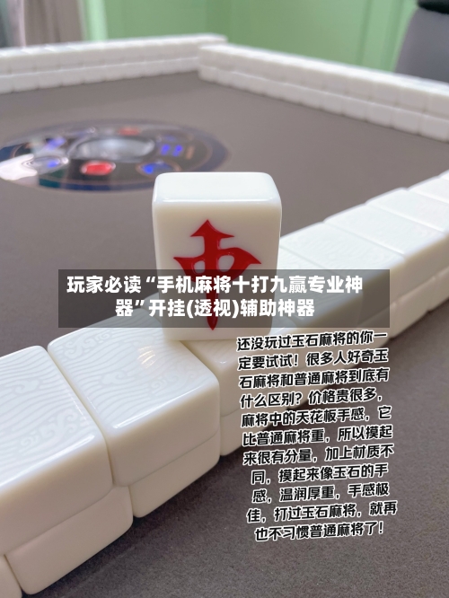 玩家必读“手机麻将十打九赢专业神器”开挂(透视)辅助神器-第3张图片