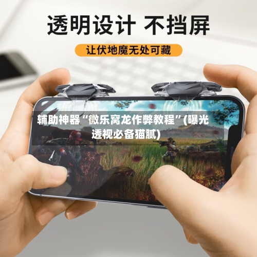 辅助神器“微乐窝龙作弊教程”(曝光透视必备猫腻)