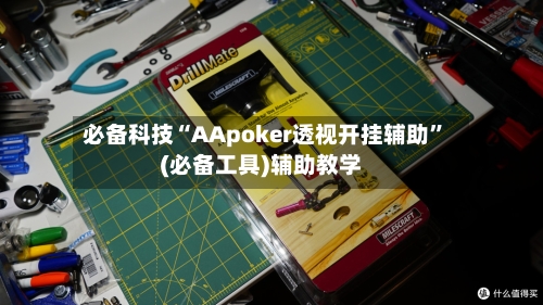 必备科技“AApoker透视开挂辅助”(必备工具)辅助教学-第3张图片