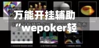 万能开挂辅助“wepoker轻量版透视方法	”通用版下载教程！-第2张图片