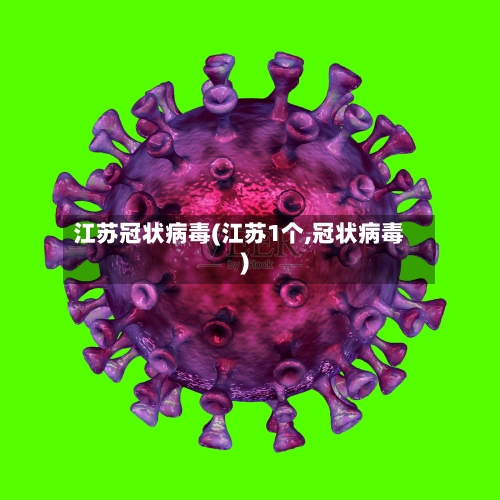 江苏冠状病毒(江苏1个,冠状病毒)