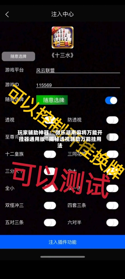 玩家辅助神器:“微乐湖南麻将万能开挂器通用版	”揭秘透视辅助万能挂用法-第2张图片