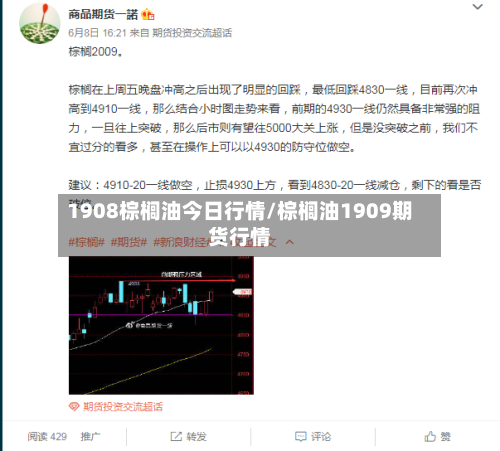 1908棕榈油今日行情/棕榈油1909期货行情-第2张图片