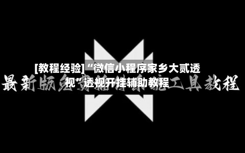 [教程经验]“微信小程序家乡大贰透视”透视开挂辅助教程