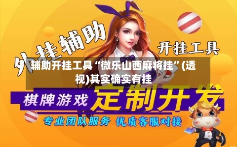 辅助开挂工具“微乐山西麻将挂	”(透视)其实确实有挂-第2张图片