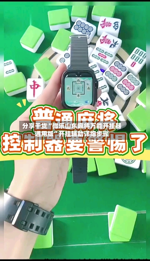 分享干货“微乐山东麻将万能开挂器通用版”开挂辅助详细步骤-第3张图片