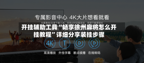 开挂辅助工具“畅享徐州麻将怎么开挂教程”详细分享装挂步骤-第3张图片