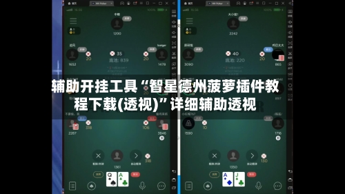 辅助开挂工具“智星德州菠萝插件教程下载(透视)”详细辅助透视
