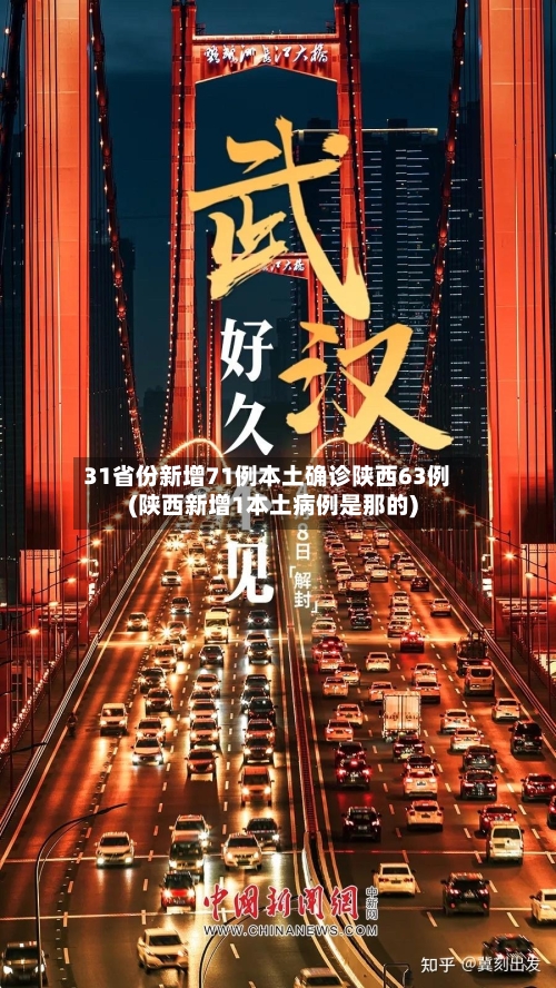 31省份新增71例本土确诊陕西63例(陕西新增1本土病例是那的)-第2张图片