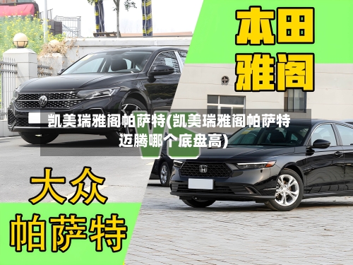 凯美瑞雅阁帕萨特(凯美瑞雅阁帕萨特迈腾哪个底盘高)-第2张图片