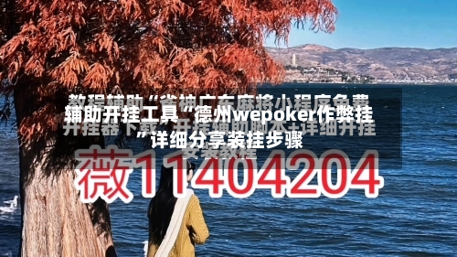 辅助开挂工具“德州wepoker作弊挂	”详细分享装挂步骤-第2张图片