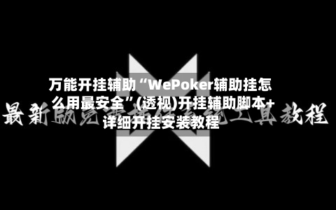 万能开挂辅助“WePoker辅助挂怎么用最安全”(透视)开挂辅助脚本+详细开挂安装教程-第3张图片