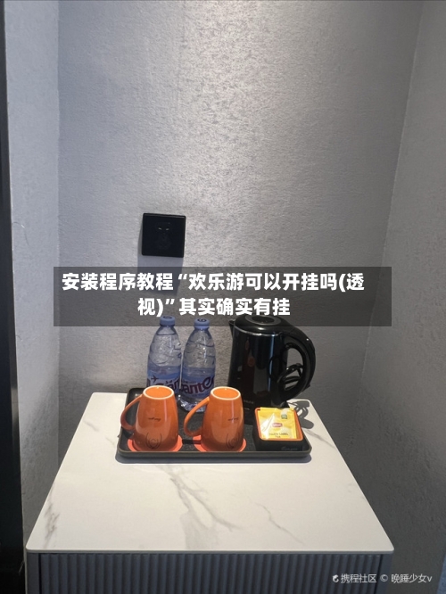 安装程序教程“欢乐游可以开挂吗(透视)”其实确实有挂