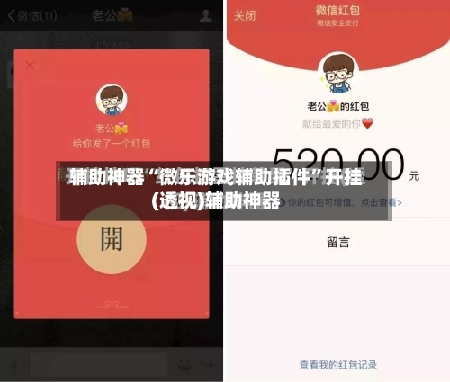 辅助神器“微乐游戏辅助插件	”开挂(透视)辅助神器-第2张图片