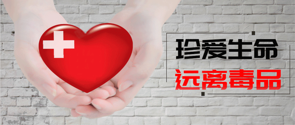 新冠状病毒全国疫情/新冠状病毒全国疫情动态