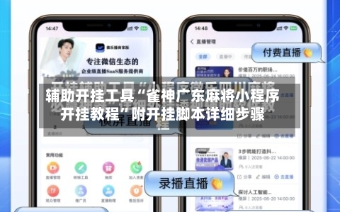 辅助开挂工具“雀神广东麻将小程序开挂教程”附开挂脚本详细步骤-第2张图片