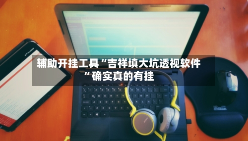 辅助开挂工具“吉祥填大坑透视软件	”确实真的有挂-第2张图片