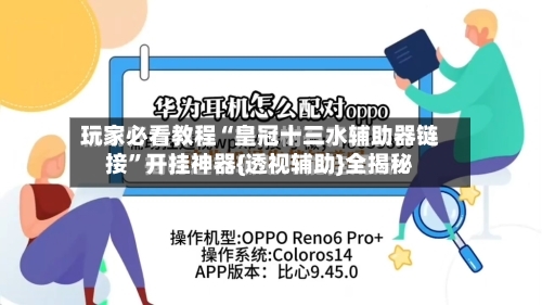 玩家必看教程“皇冠十三水辅助器链接”开挂神器{透视辅助}全揭秘-第3张图片