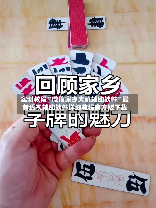 实测教程“微信家乡大贰辅助软件”最新透视辅助软件详细教程官方版下载-第3张图片