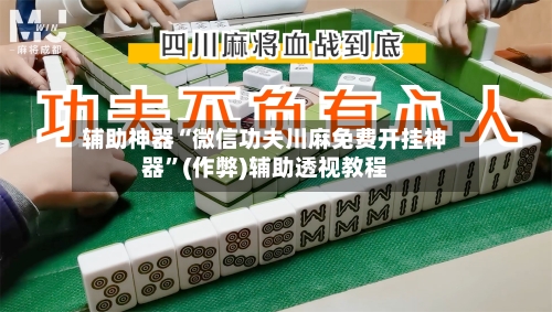 辅助神器“微信功夫川麻免费开挂神器”(作弊)辅助透视教程-第2张图片