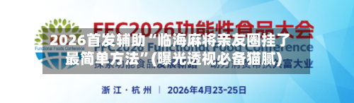 2026首发辅助“临海麻将亲友圈挂了最简单方法”(曝光透视必备猫腻)-第2张图片