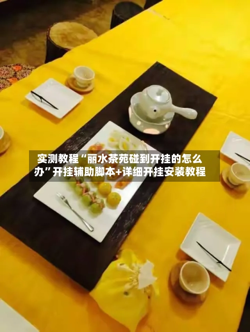 实测教程“丽水茶苑碰到开挂的怎么办	”开挂辅助脚本+详细开挂安装教程-第3张图片