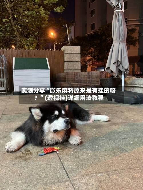 实测分享“微乐麻将原来是有挂的呀？”(透视挂)详细用法教程-第2张图片