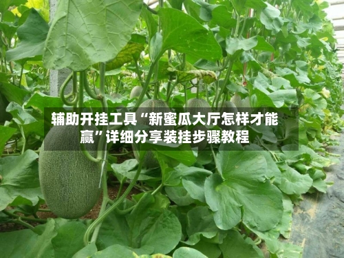 辅助开挂工具“新蜜瓜大厅怎样才能赢”详细分享装挂步骤教程-第2张图片