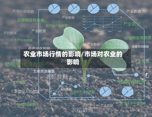 农业市场行情的影响/市场对农业的影响-第2张图片