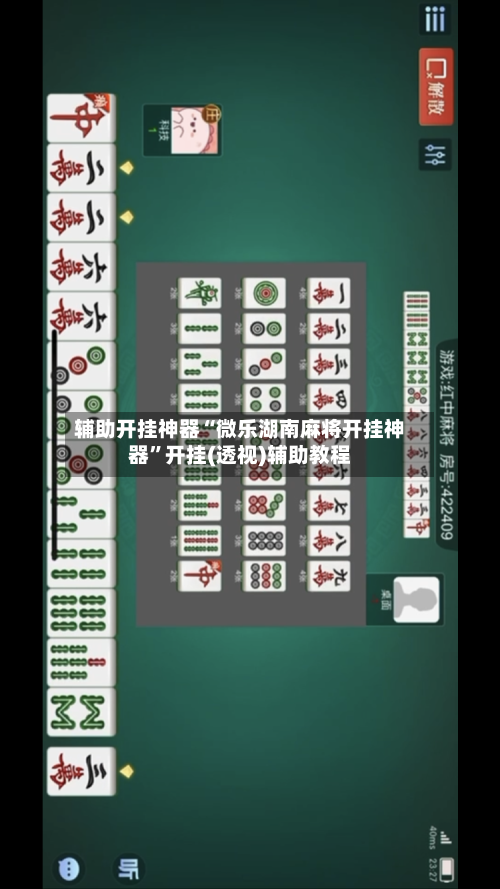 辅助开挂神器“微乐湖南麻将开挂神器”开挂(透视)辅助教程-第3张图片