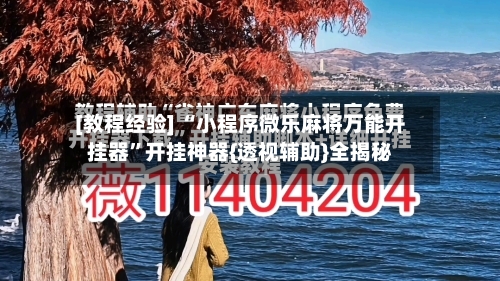 [教程经验] “小程序微乐麻将万能开挂器”开挂神器{透视辅助}全揭秘