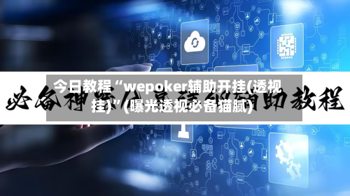 今日教程“wepoker辅助开挂(透视挂)	”(曝光透视必备猫腻)-第2张图片