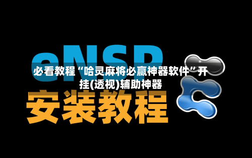 必看教程“哈灵麻将必赢神器软件”开挂(透视)辅助神器-第3张图片