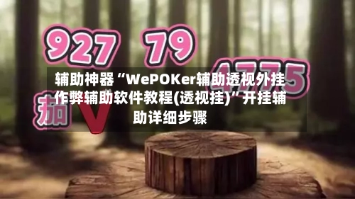 辅助神器“WePOKer辅助透视外挂作弊辅助软件教程(透视挂)”开挂辅助详细步骤-第2张图片