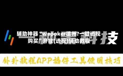 辅助神器“wepoker德州?一键透视购买”开挂(透视)辅助教程-第2张图片