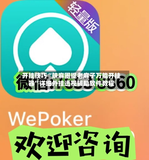 开挂技巧“陕麻圈捉老麻子万能开挂器”详细外挂透视辅助软件教程-第2张图片